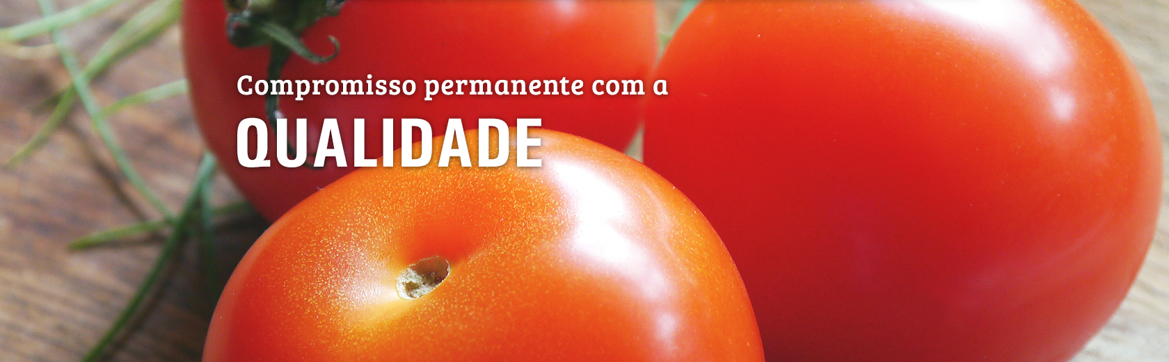 Compromisso permanente com a qualidade