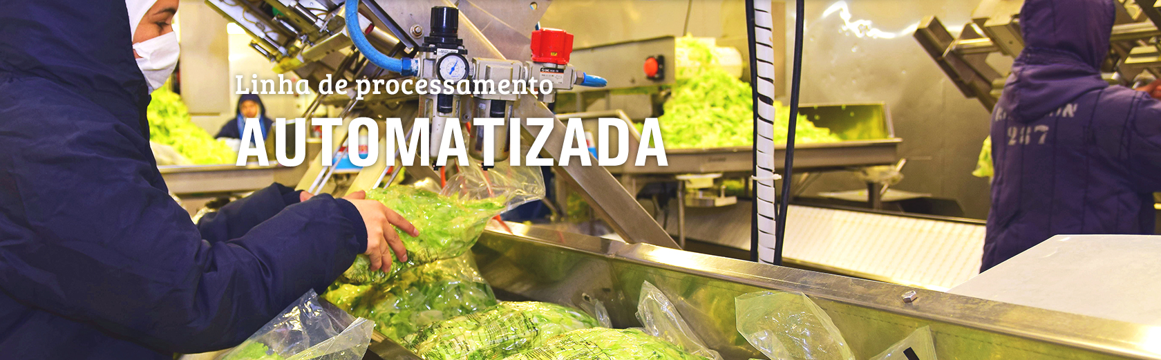 Linha de processo automatizada